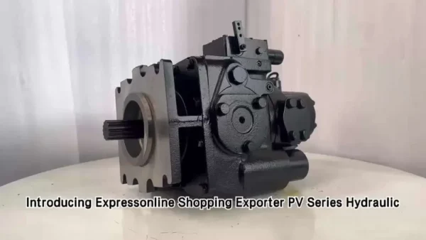 Industrial Hydraulic Plunger Pump PV25 for Heavy-Duty Equipment