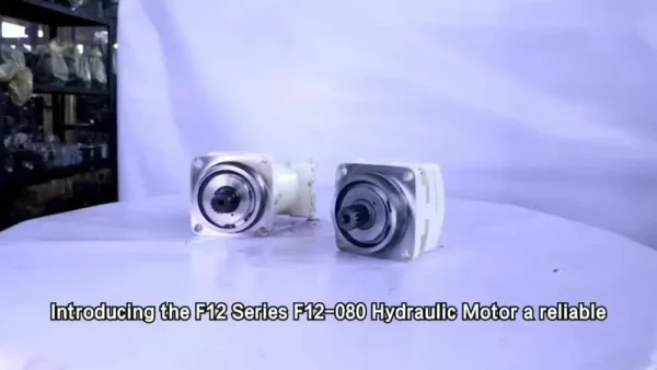 F12-080 12V Mini Axial Flow Hydraulic Motor | 80ml/r, 35MPa, Two-Way
